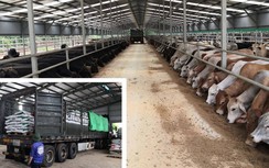 Doanh nghiệp “biến nguy thành cơ” trước cú sốc Covid-19