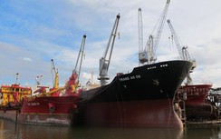 Doanh nghiệp đóng tàu “thoi thóp” trong vòng xoáy nợ nần