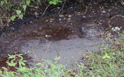 Vụ dân "canh" hiện trường xả thải: Tổng cục Môi trường đề nghị xử nghiêm