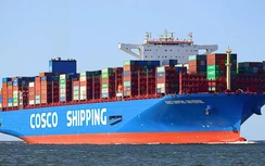 Cước vận chuyển container tăng phi mã, chủ hàng "ngồi trên lửa"