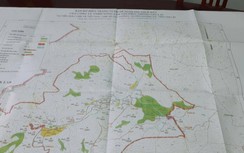 Khởi tố chủ doanh nghiệp mượn danh trồng rừng để phá rừng