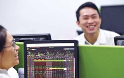 Năm kiếm bộn tiền của dân chứng khoán