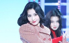 Khả năng nhảy của Momo (TWICE) đến đâu mà được gọi là "cỗ máy nhảy"?