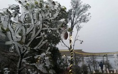 Tuyết trắng bao phủ nhiều nơi ở tỉnh Lào Cai