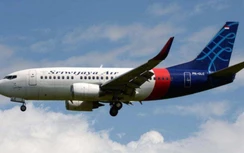 Máy bay Indonesia bị rơi thuộc dòng Boeing 737 nào?
