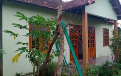 Nguyên Chủ tịch Ủy ban MTTQVN xây nhà "chui" trên núi bị phạt 4 triệu đồng