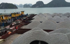 Hải quan “bác” lý lẽ doanh nghiệp xuất khẩu đá vôi kêu thiệt hại triệu đô