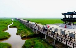 Cây cầu làm bằng tre dài nhất thế giới