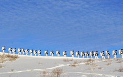 Trung Quốc tuyên bố lập bản đồ 3D biên giới chính xác đến từng centimet