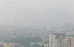 Thủ tướng giao Bộ GTVT xây dựng đề án phát triển GTVT thân thiện môi trường