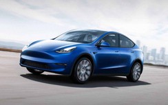 Elon Musk trao giải thưởng 100 triệu USD cho công nghệ thu giữ carbon