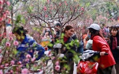 Thời tiết Tết Tân Sửu 2021 có xảy ra dông, lốc, sét, mưa đá như năm ngoái?