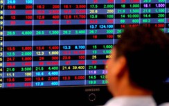 Thị trường chứng khoán hôm nay 28/1: Hàng trăm cổ phiếu trắng bên mua