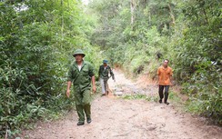 Từ “lâm tặc” trở thành người giữ rừng