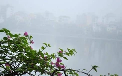 Dự báo thời tiết hôm nay 2/2: Bắc Bộ tiếp diễn nồm ẩm