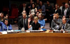 Đảo chính Myanmar: Hội đồng Bảo an LHQ đẩy sớm lịch họp kín