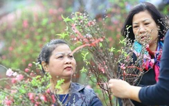 Dự báo thời tiết hôm nay 6/2: Nắng cuối tuần trước khi mưa rào chuyển rét