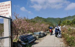 Cuộc sống "đặc biệt" của người dân vùng phong toả Vân Đồn những ngày áp Tết