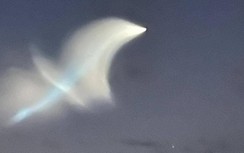 Người dân Nam Florida, Mỹ nhìn thấy người ngoài hành tinh?