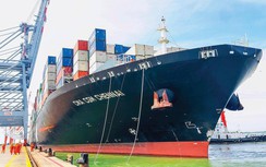 Cảng biển Việt Nam trỗi dậy hút tàu “khủng”