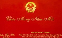 Tổng Bí thư, Chủ tịch nước chúc Xuân mới khí thế mới, thắng lợi mới
