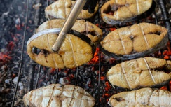 Chùm ảnh: Mục sở thị làng cá nướng "độc nhất vô nhị" ở Hà Tĩnh