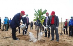 Vietjet tham gia trồng 15 triệu cây xanh tại Phú Yên