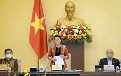 Dự kiến 12-14 Uỷ viên Bộ Chính trị, Ban Bí thư tham gia Quốc hội khóa mới