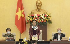 Quốc hội kiện toàn một số chức danh Nhà nước tại Kỳ họp 11 vào cuối tháng 3