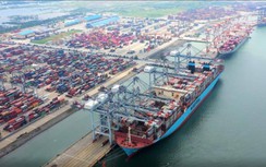 Hàng hải lập tổ kiểm tra cước, phụ thu vận chuyển container