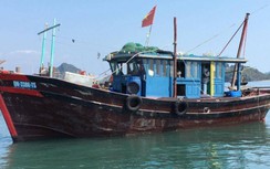 Vụ vợ chồng tử vong trên vịnh Bái Tử Long: Xót xa mẹ già yếu, hai con bơ vơ