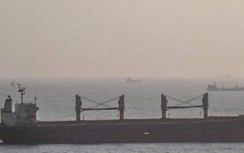 2 thủy thủ mắc Covid-19, tàu Ocean Amazing không muốn nhập cảnh Việt Nam