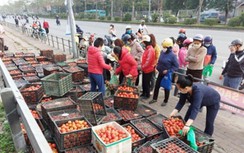 Tiêu thụ nông sản từ vùng dịch, hướng dẫn thu mua ra sao để an toàn?
