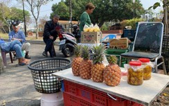 Mỹ, Canada cùng nhau giải cứu dứa Đài Loan khi Trung Quốc dừng nhập khẩu