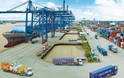 Bảy “siêu” doanh nghiệp nào sẽ trở thành "chim đầu đàn" của nền kinh tế?