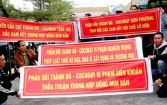 Bài học nhớ đời từ chuyện Cocobay "vỡ trận”"