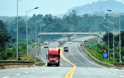 Phú Thọ muốn trồng cọ dọc cao tốc Nội Bài - Lào Cai