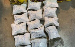 Thu giữ gần 6kg ma túy dạng "cỏ" vận chuyển qua sân bay Tân Sơn Nhất