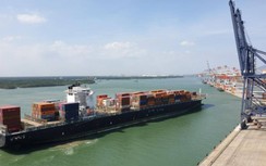 Cỡ tàu vận tải biển nào được phát triển tại Việt Nam trong những năm tới?