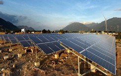 Cắt giảm điện năng lượng tái tạo là bắt buộc, không có ưu tiên