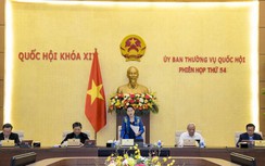 Dự kiến ngày 5/4, Quốc hội bỏ phiếu kín bầu Thủ tướng Chính phủ