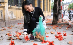 Người Hà Nội mê mẩn với sắc thắm hoa gạo tháng 3