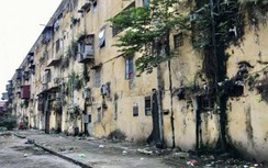 Hải Phòng: Người dân chung cư Vạn Mỹ khổ vì sống chung với chuột và rác