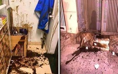 Ném chất bẩn, đập phá hiệu thuốc và hành hung nữ chủ tiệm đang mang thai