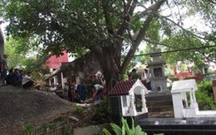 Hải Phòng: Nam thanh niên tự tử bằng dao ở khu vực phần mộ của bố mẹ đẻ