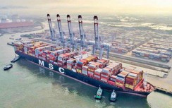 Kiểm tra niêm yết giá cước, phụ thu của 12 hãng tàu "ngoại" thế nào?
