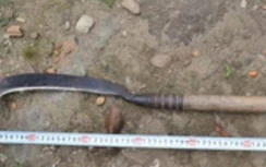 Vác rựa chém chết trưởng thôn, người đàn ông treo cổ tự tử