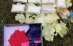16.000 viên ma tuý "vô chủ" lẫn trong rau cải thảo vứt bên đường
