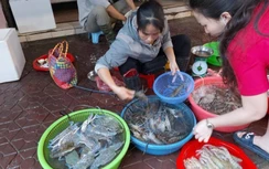 Hải sản, thịt bò kéo nhau tăng giá, thịt lợn vẫn “trên trời”