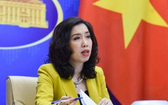 Phản ứng của Việt Nam về hàng trăm tàu dân binh Trung Quốc trên Biển Đông